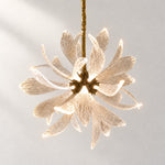 Crystal Chandelier Organic Modern Brass Textured Glass for Dining Room on a light warm plaster wall