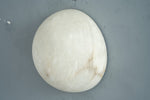 yiosi-cupola-round-disk-321-121-014.jpg