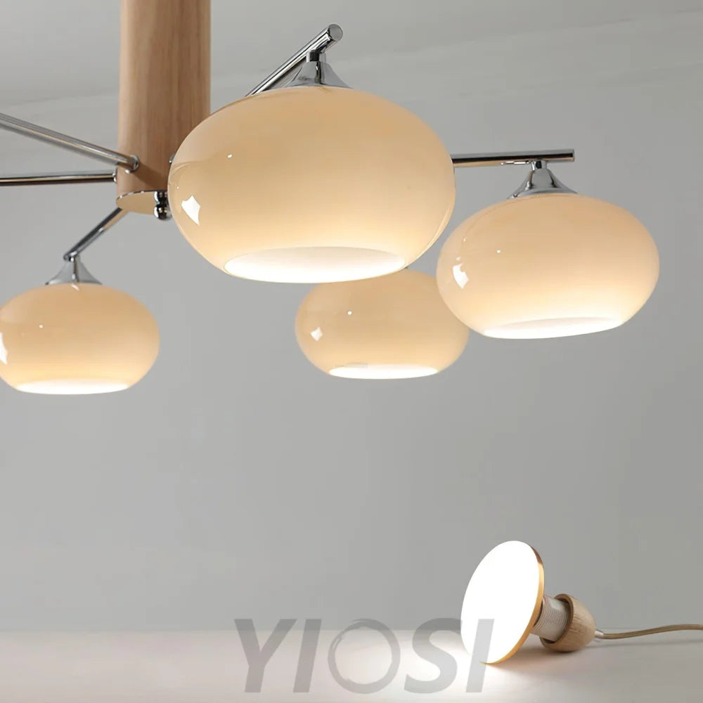 Elliptical Persimmon Chandelier with 3/6/8 heads - Glass Chandelier, Persimmon-1-Yiosilamp