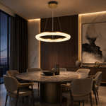 Flourish Modern Sculptural Pendant Light