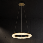 Flourish Modern Sculptural Pendant Light - main