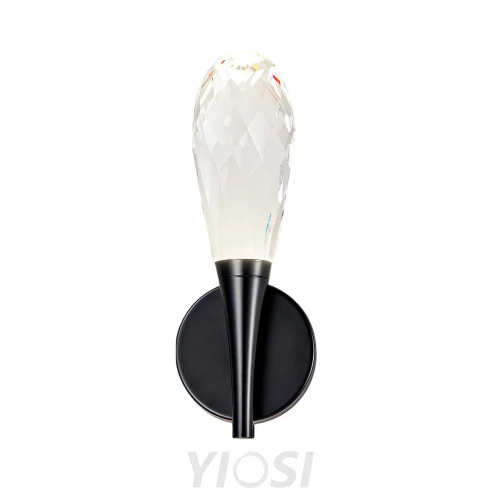 Modern bathroom vanity wall lamp in front of the mirror Black