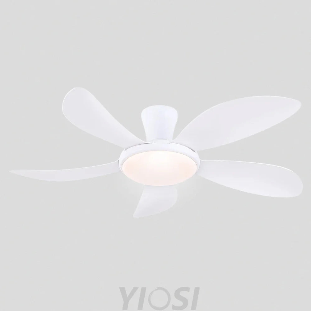 Modern LED Ceiling Fans Low Profile Ceiling Fans with Lights 6 Speeds 48’’ Ceiling Lights