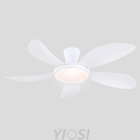 Modern LED Ceiling Fans Low Profile Ceiling Fans with Lights 6 Speeds 48’’ Ceiling Lights
