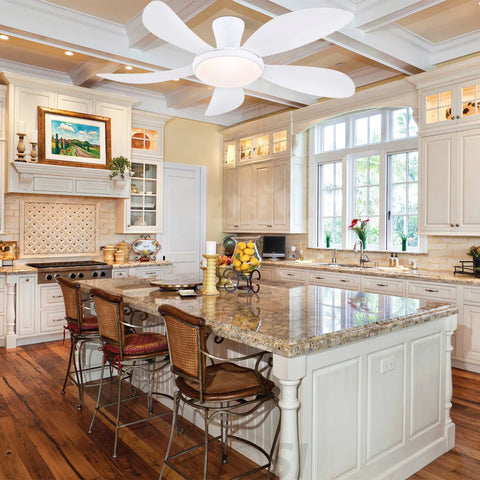 Modern LED Ceiling Fans Low Profile Ceiling Fans with Lights 6 Speeds 48’’ Ceiling Lights