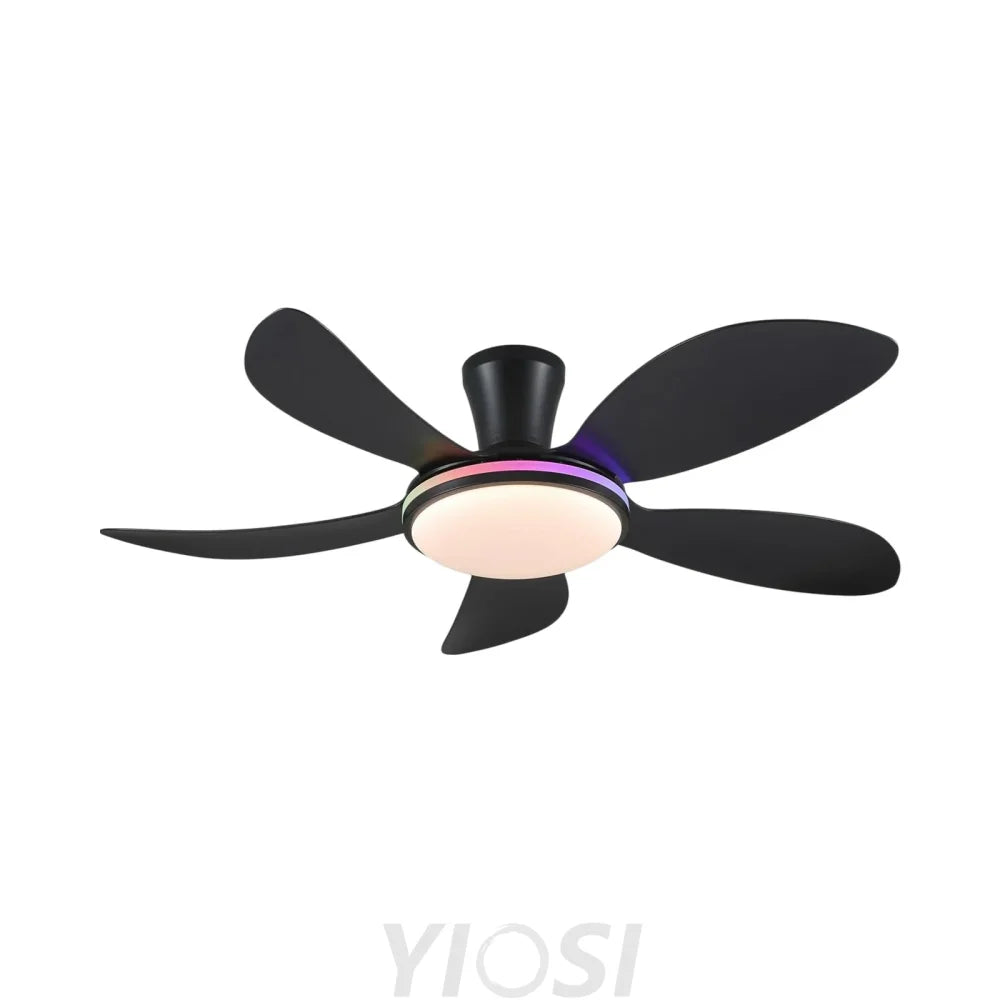 Modern LED Ceiling Fans Low Profile Ceiling Fans with Lights 6 Speeds 48’’ Ceiling Lights