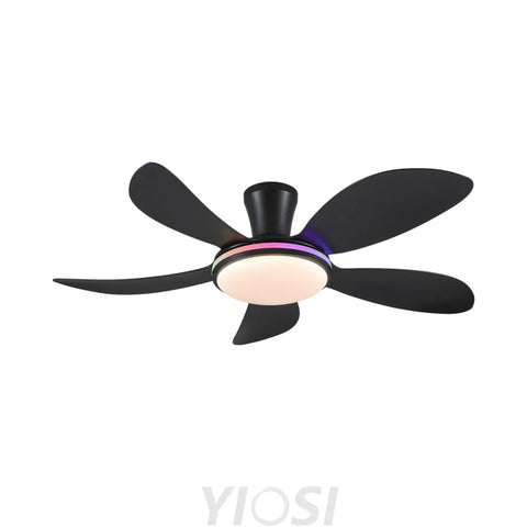 Modern LED Ceiling Fans Low Profile Ceiling Fans with Lights 6 Speeds 48’’ Ceiling Lights