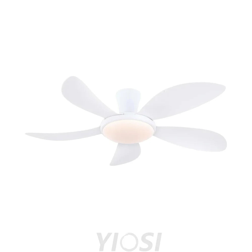 Modern LED Ceiling Fans Low Profile Ceiling Fans with Lights 6 Speeds 48’’ Ceiling Lights