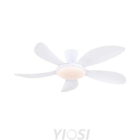 Modern LED Ceiling Fans Low Profile Ceiling Fans with Lights 6 Speeds 48’’ Ceiling Lights
