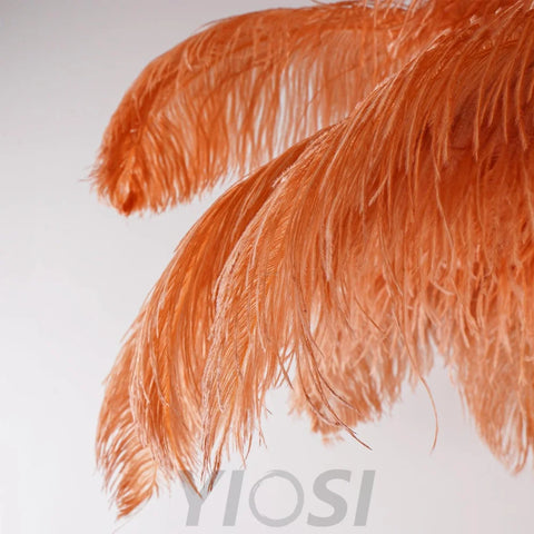 Ostrich Feather Floor Lamp - Feather-1-Yiosilamp