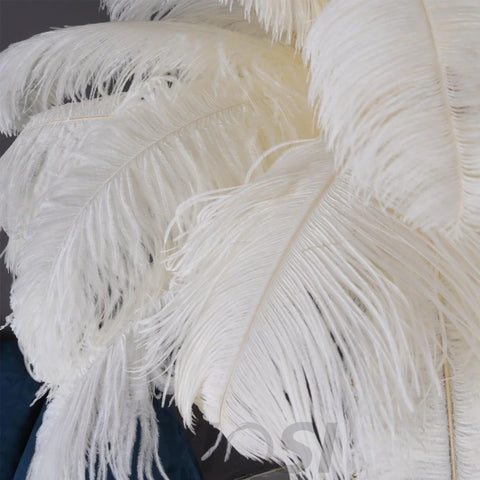 Ostrich Feather Floor Lamp - Feather-1-Yiosilamp