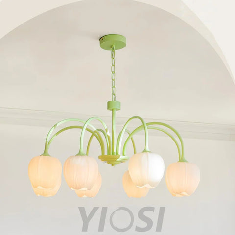 Tulip Matcha Chandelier with 5/6/8 heads - Yiosilamp