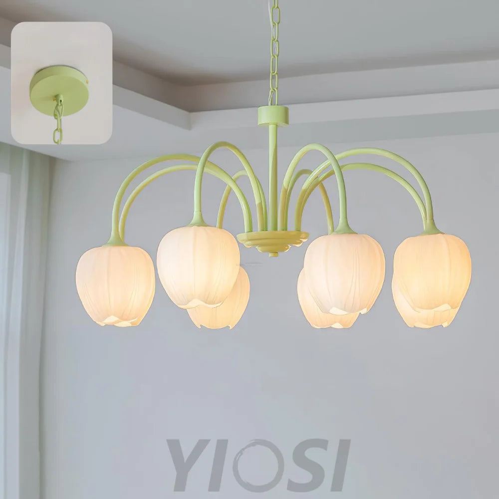 Tulip Matcha Chandelier with 5/6/8 heads - Yiosilamp