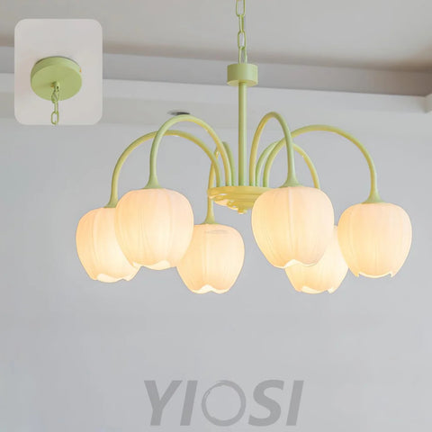 Tulip Matcha Chandelier with 5/6/8 heads - Yiosilamp