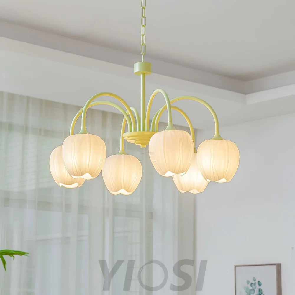 Tulip Matcha Chandelier with 5/6/8 heads - Yiosilamp