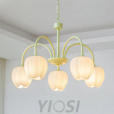 Tulip Matcha Chandelier with 5/6/8 heads - Yiosilamp