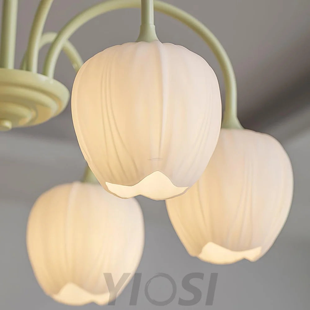 Tulip Matcha Chandelier with 5/6/8 heads - Yiosilamp