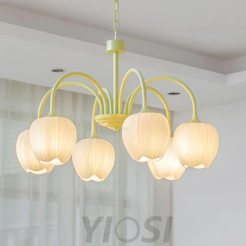 Tulip Matcha Chandelier with 5/6/8 heads - Yiosilamp