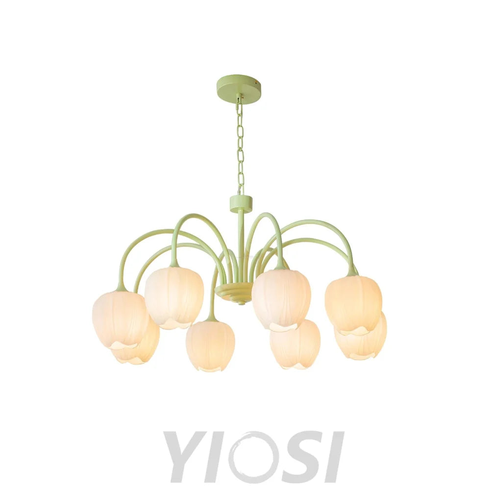 Tulip Matcha Chandelier with 5/6/8 heads - Yiosilamp