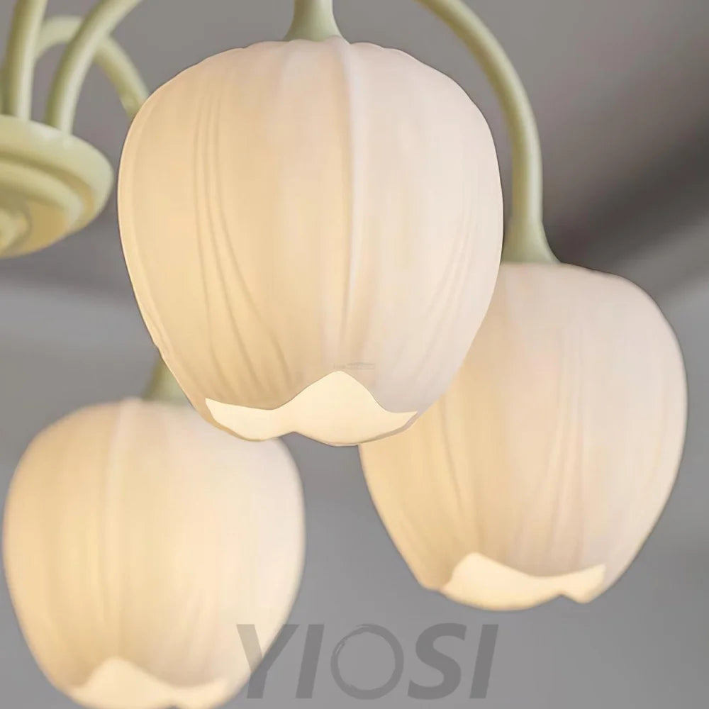 Tulip Matcha Chandelier with 5/6/8 heads - Yiosilamp