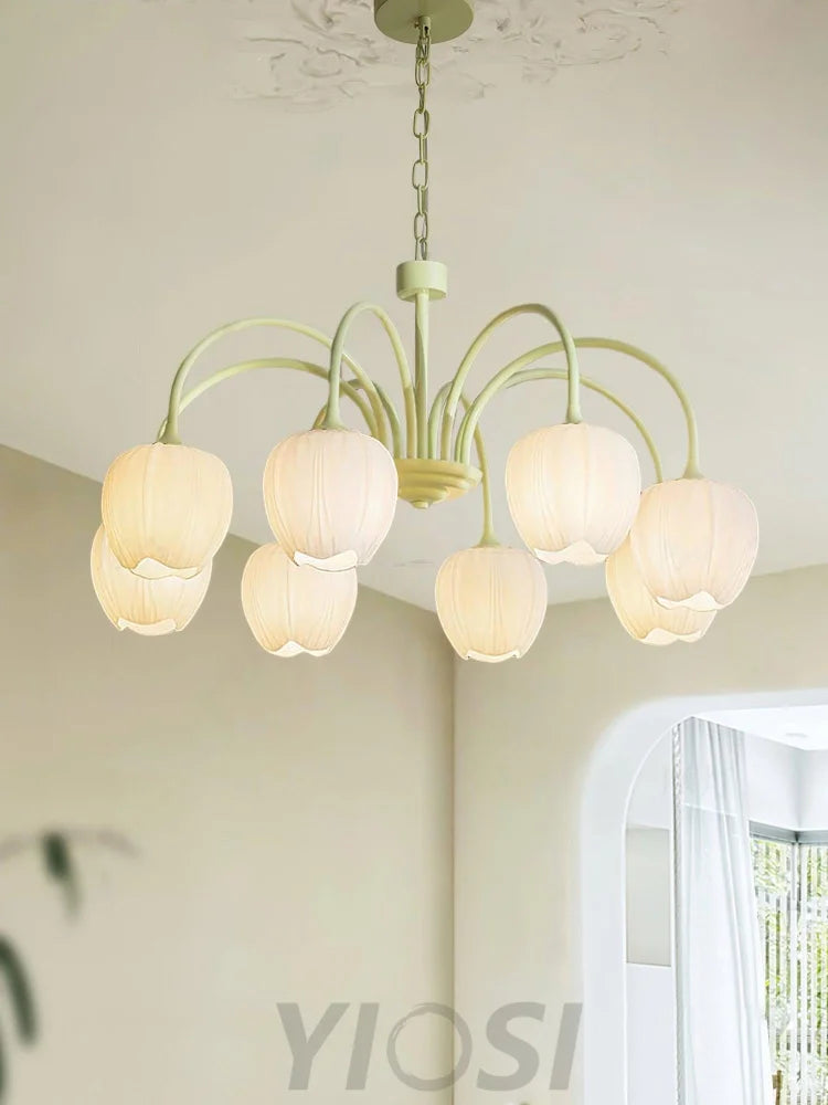 Tulip Matcha Chandelier with 5/6/8 heads - Yiosilamp