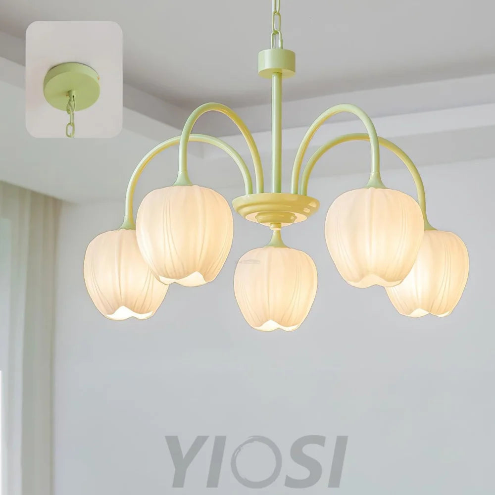 Tulip Matcha Chandelier with 5/6/8 heads - Yiosilamp