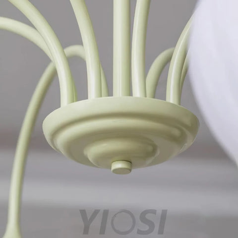 Tulip Matcha Chandelier with 5/6/8 heads - Yiosilamp