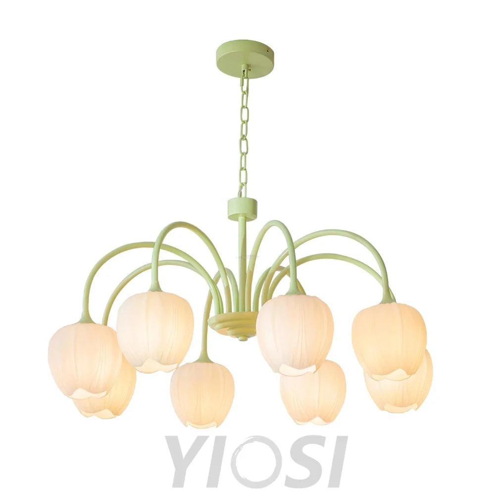 Tulip Matcha Chandelier with 5/6/8 heads - Yiosilamp