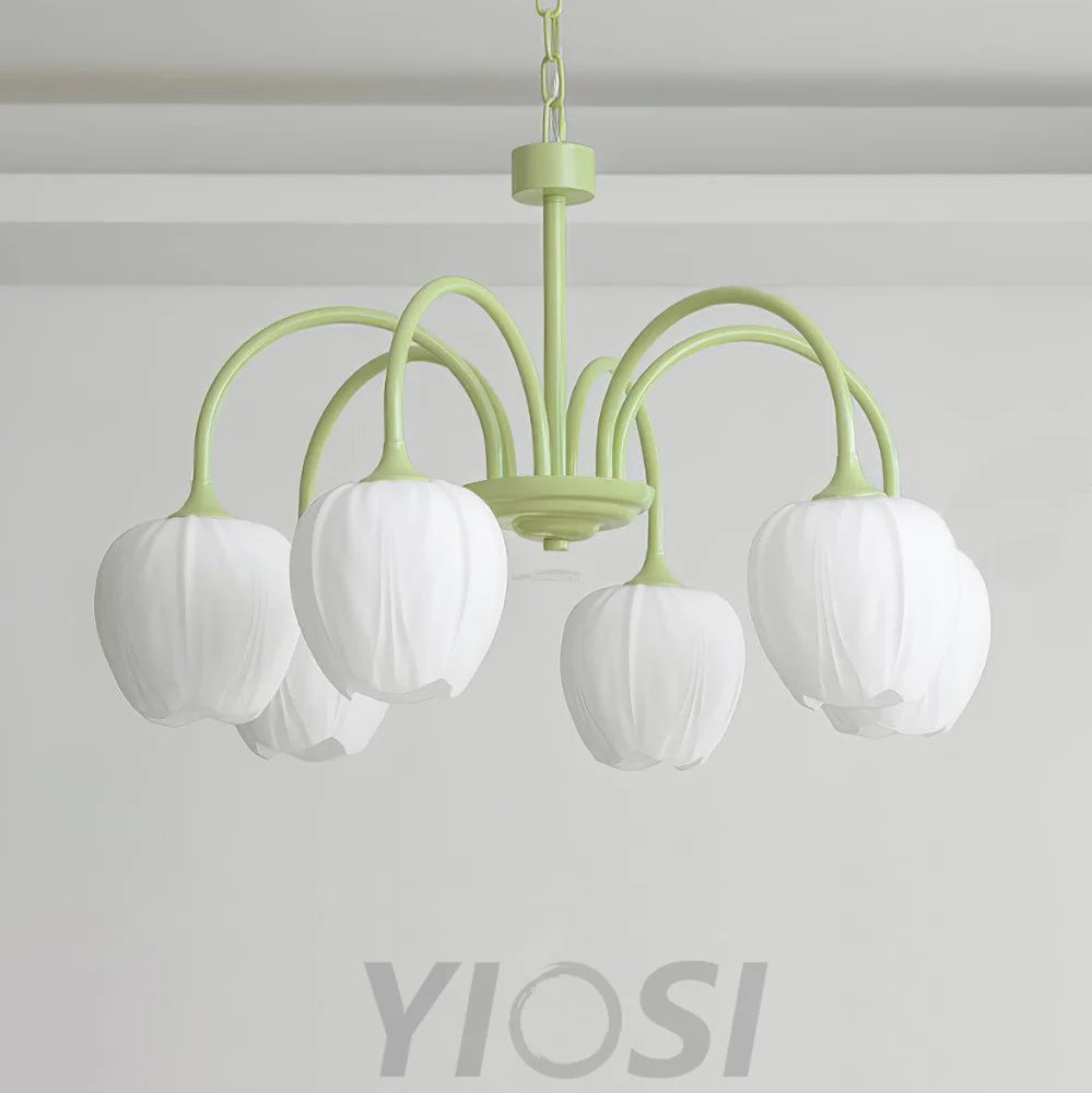 Tulip Matcha Chandelier with 5/6/8 heads - Yiosilamp