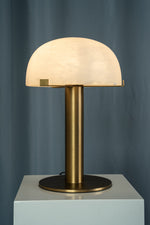 yiosi-fungo-dome-t509-138-007.jpg