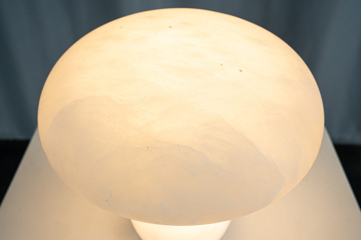 yiosi-fungo-mushroom-classic-mt910-137-033.jpg