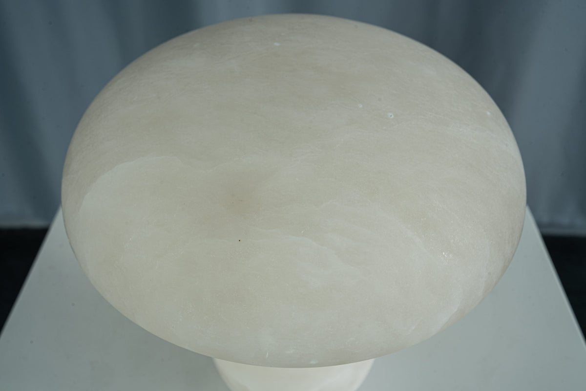 yiosi-fungo-mushroom-classic-mt910-137-034.jpg