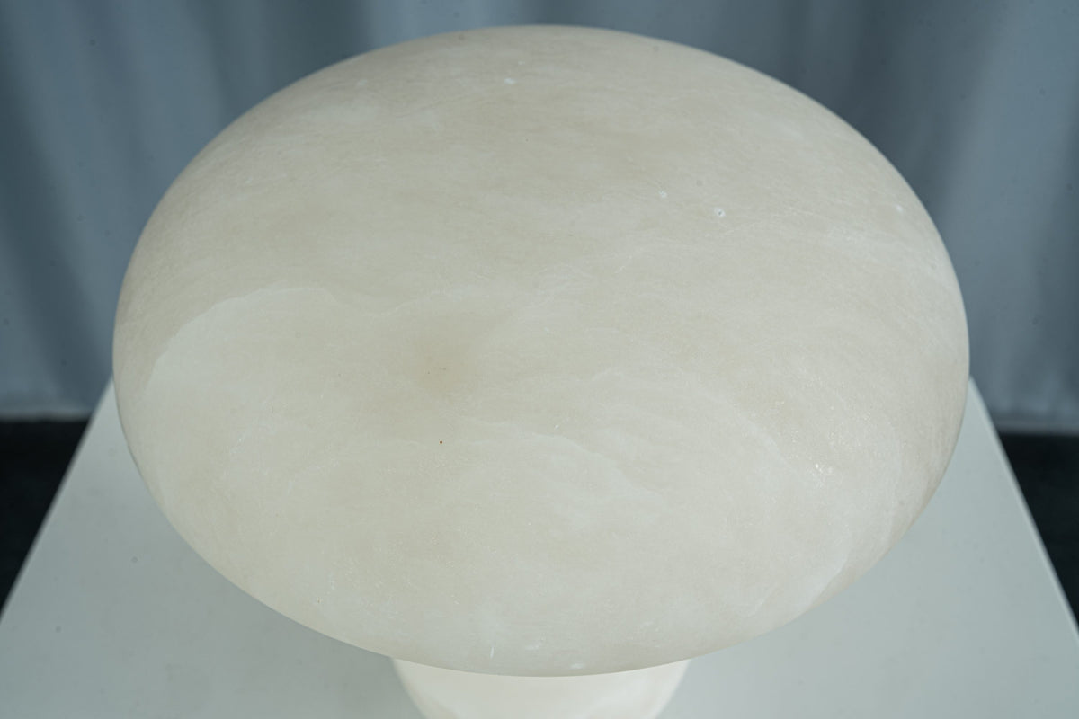 yiosi-fungo-mushroom-classic-mt910-137-035.jpg
