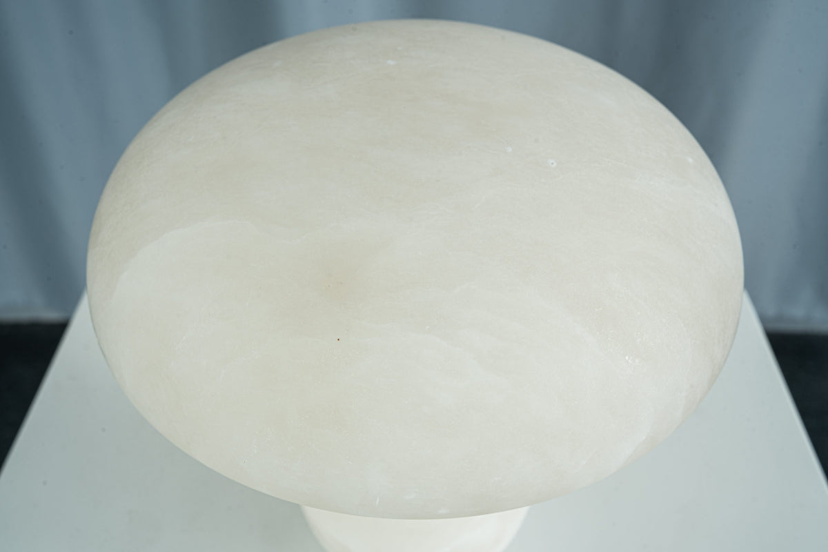yiosi-fungo-mushroom-classic-mt910-137-036.jpg