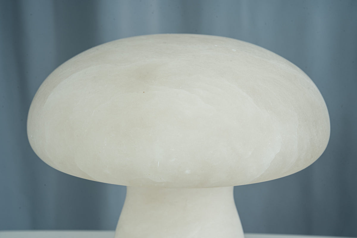 yiosi-fungo-mushroom-classic-mt910-137-038.jpg