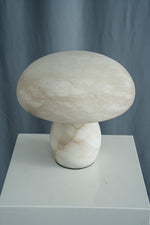 yiosi-fungo-mushroom-classic-mt910-137-042.jpg