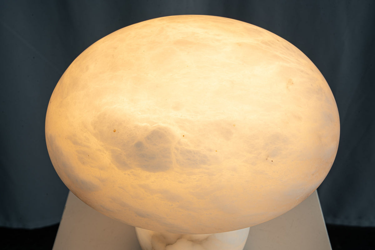 yiosi-fungo-mushroom-classic-mt910-137-047.jpg