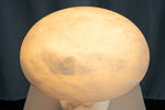 yiosi-fungo-mushroom-classic-mt910-137-047.jpg