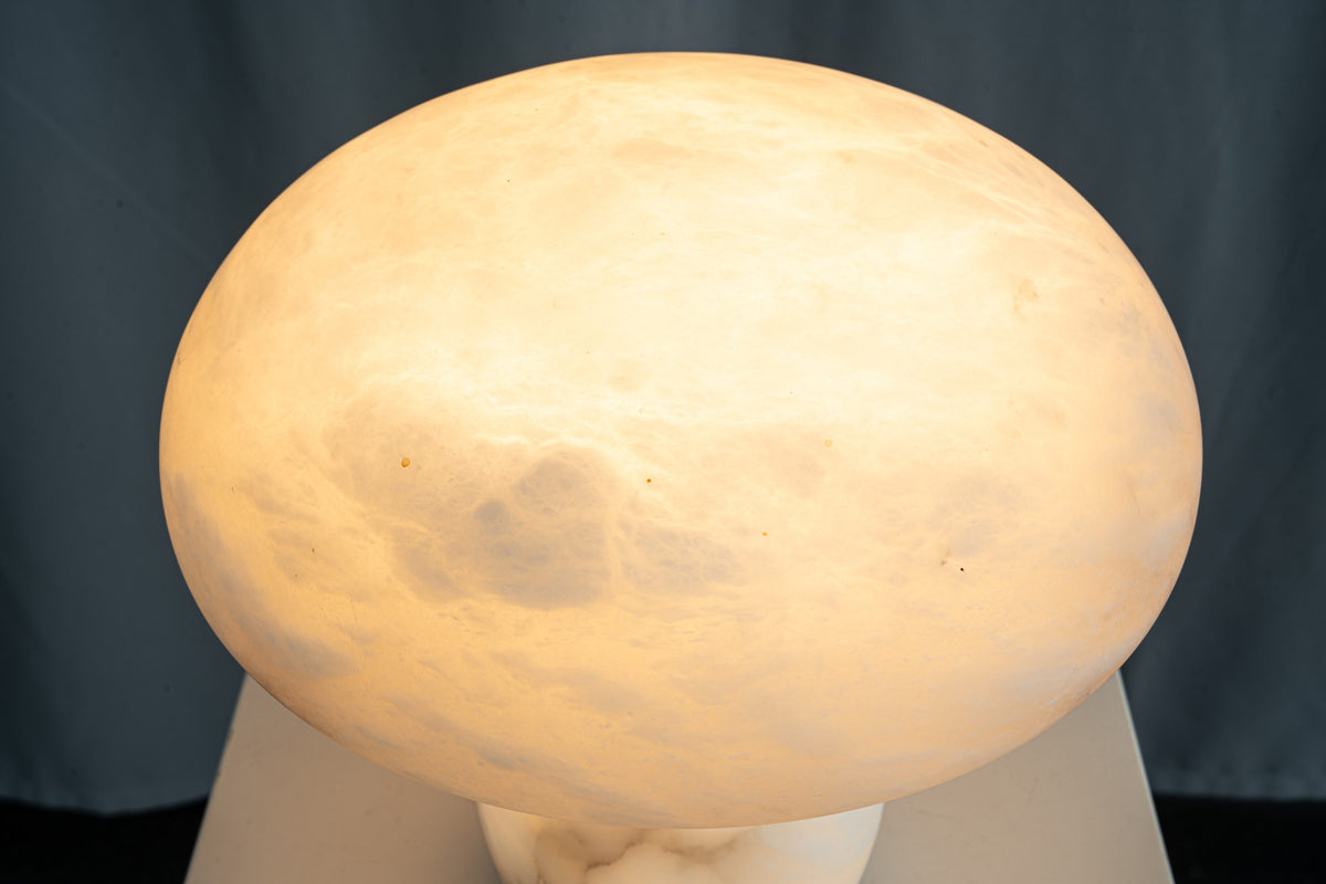 yiosi-fungo-mushroom-classic-mt910-137-049.jpg