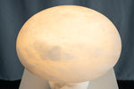 yiosi-fungo-mushroom-classic-mt910-137-050.jpg