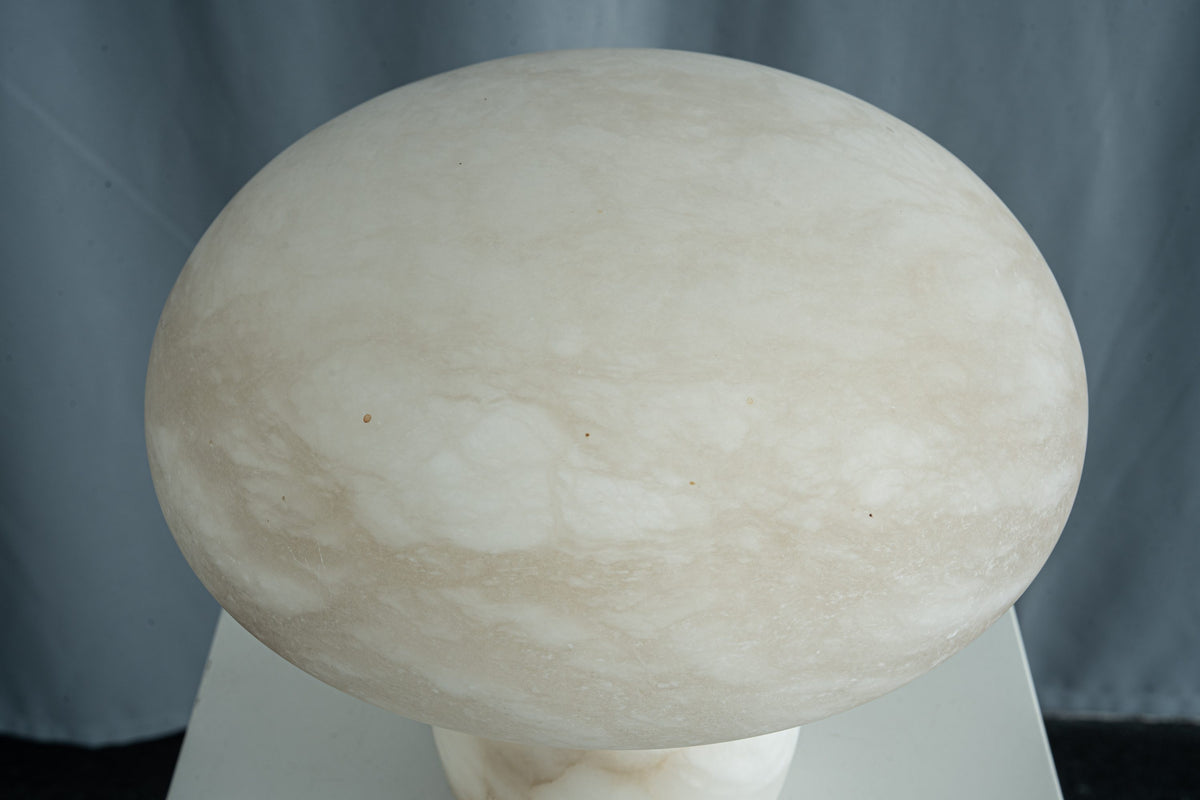 yiosi-fungo-mushroom-classic-mt910-137-051.jpg