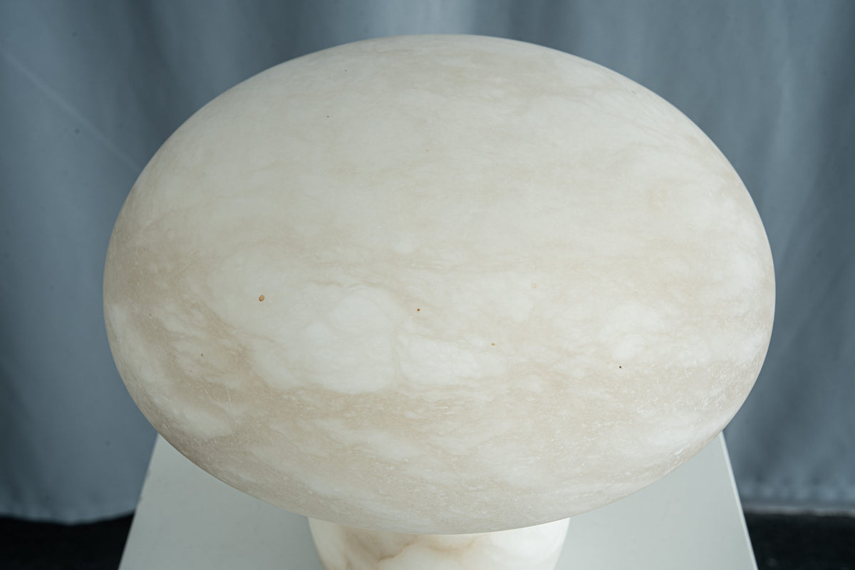 yiosi-fungo-mushroom-classic-mt910-137-052.jpg