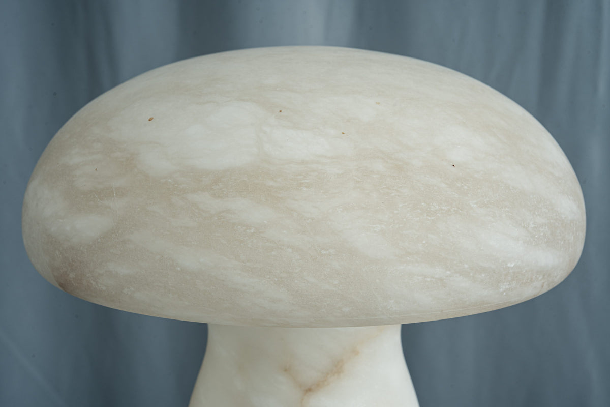 yiosi-fungo-mushroom-classic-mt910-137-054.jpg