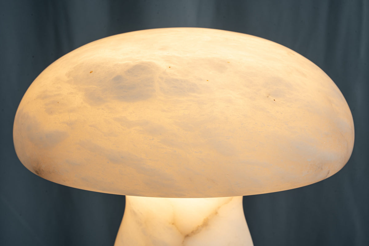 yiosi-fungo-mushroom-classic-mt910-137-056.jpg