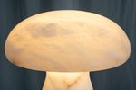 yiosi-fungo-mushroom-classic-mt910-137-056.jpg