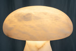 yiosi-fungo-mushroom-classic-mt910-137-057.jpg