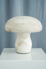 yiosi-fungo-mushroom-classic-mt910-137-063.jpg