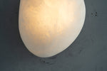 yiosi-sfera-egg-mb633-087-031.jpg