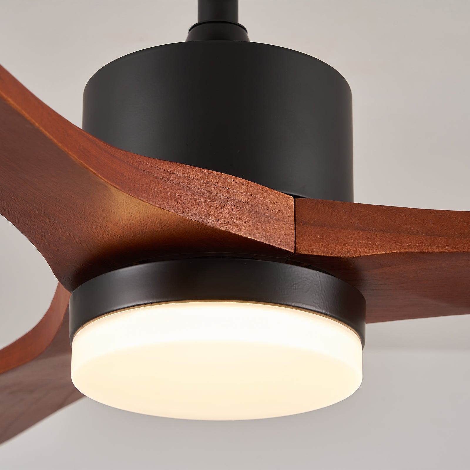 Rapha 52" Smart Ceiling Fan  APP-Controlled. LED: Dimming, Color Changing. Night Light. 24W LED